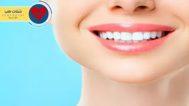 عيادات النورس
