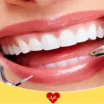 عيادات النورس