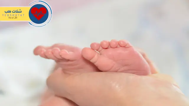 سعر الولادة في مستشفى الهلال الأخضر