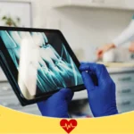 عيادات الاسنان جازان